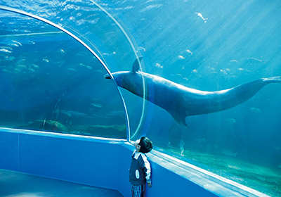 のとじま水族館