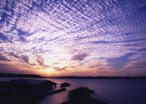 観光タクシーがおすすめです。